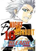 Bleach 16