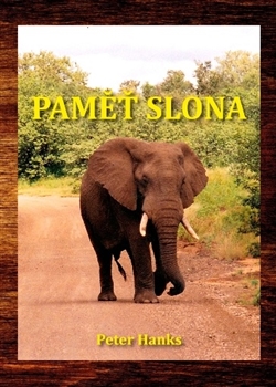 Pam� slona