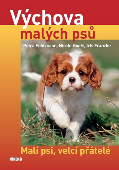 V�chova mal�ch ps�
