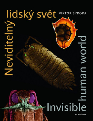 Neviditeln� lidsk� sv�t Invisible Humann World