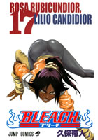 Bleach 17
