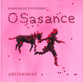 O Sasance - Dokument z poh�dky