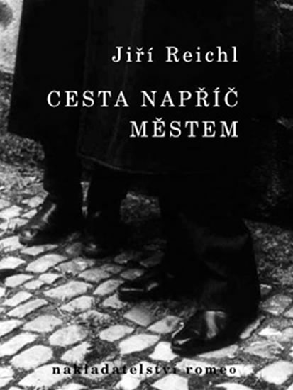 Cesta nap��� m�stem