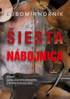 �iesta n�bojnica