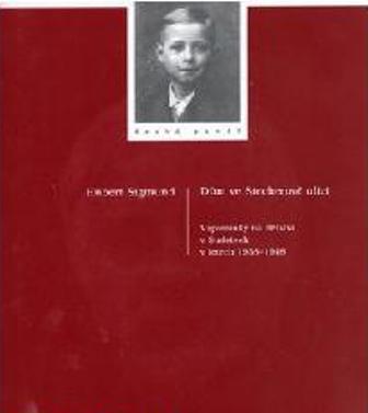 D�m ve Stecherov� ulici