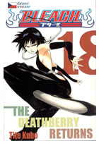 Bleach 18