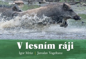 V lesn�m r�ji