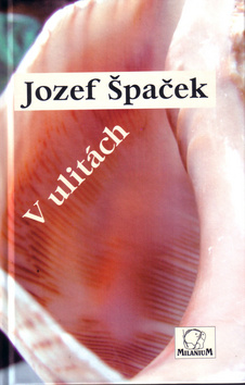 V ulit�ch
