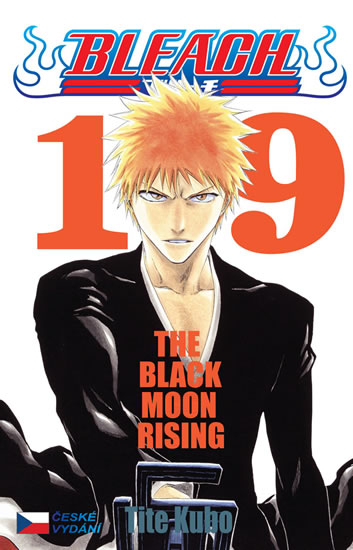 Bleach 19