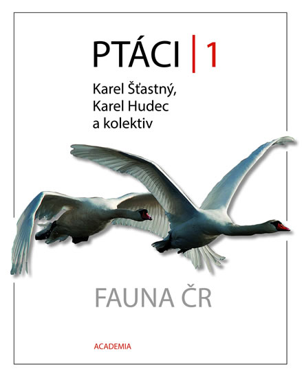 Pt�ci 1 ACADEMIA