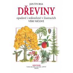 D�eviny