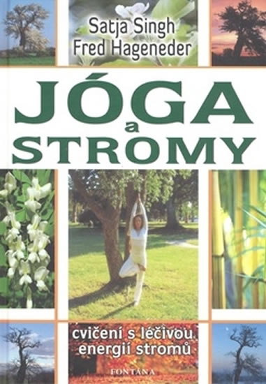 J�ga a stromy