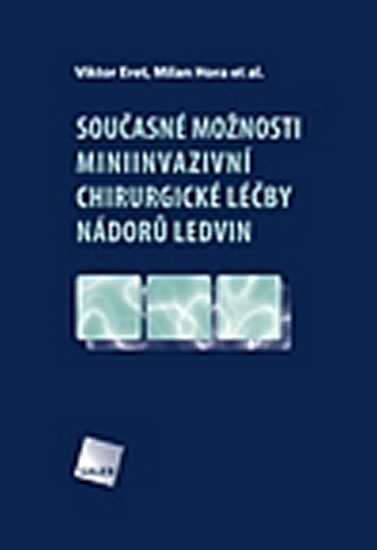 Sou�asn� mo�nosti miniinvazivn� chirurgick� l��by n�dor� ledvin