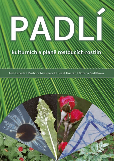 Padl�
