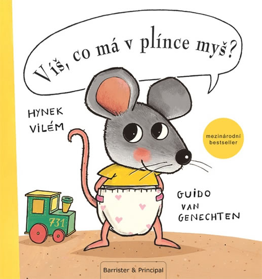 V�, co m� v pl�nce my�?