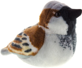 Ply� WR pt�ci Vrabec