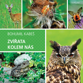 Zv��ata kolem n�s SURSUM