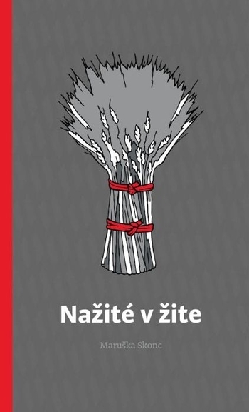Na�it� v �ite