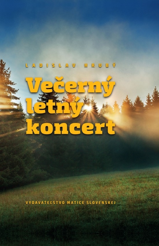 Ve�ern� letn� koncert