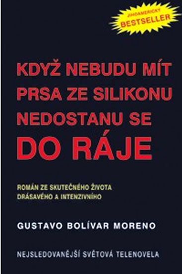 Kdy� nebudu m�t prsa ze silikonu nedostanu se do nebe