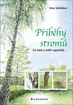 P��b�hy strom� GRADA