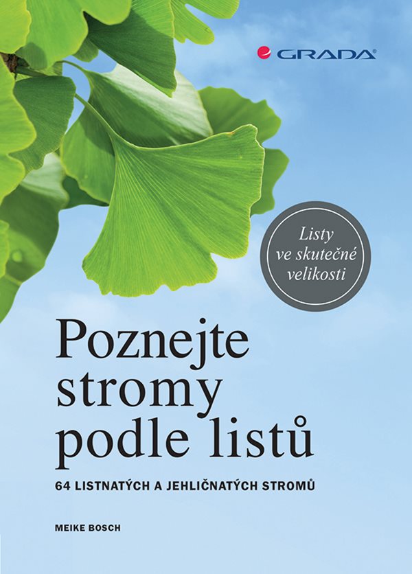 Poznejte stromy podle list�
