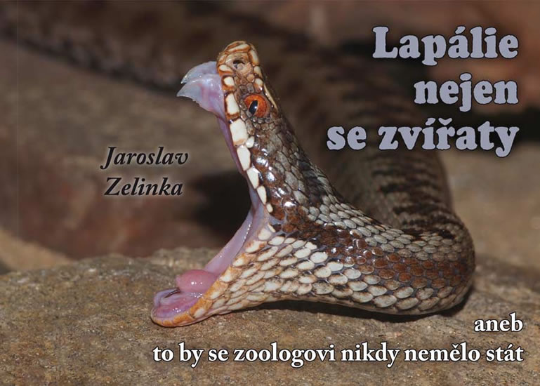 Lap�lie nejen se zv��aty