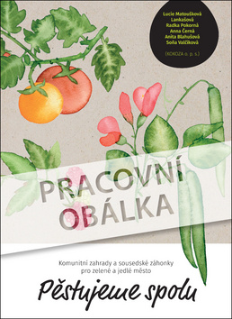 P�stujeme ve m�st�