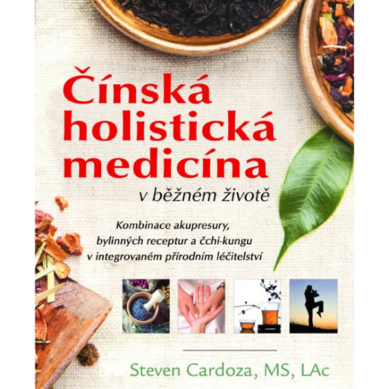 ��nsk� holistick� medic�na v b�n�m �ivot�
