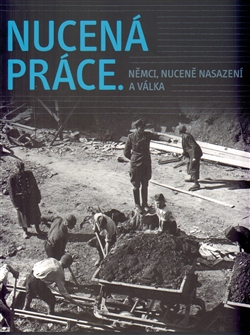 Nucen� pr�ce