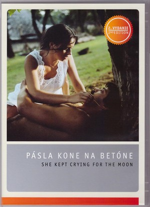 P�sla kone na bet�ne