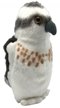 Ply� WR pt�ci Mo�sk� orel