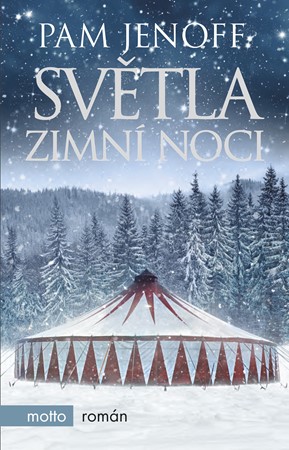 Sv�tla zimn� noci