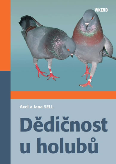 D�di�nost u holub�
