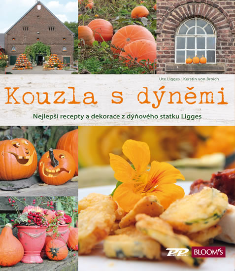 Kouzla s d�n�mi