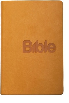 Bible (ho��icov� - imitace k��e)