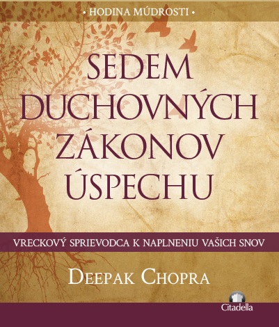 Sedem duchovn�ch z�konov �spechu