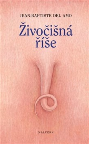 �ivo�i�n� ��e