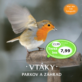 Vt�ky parkov a z�hrad