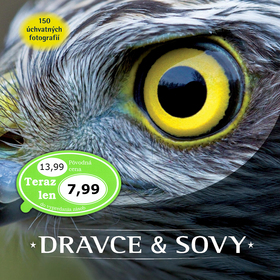 Dravce a sovy SK
