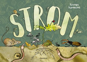 Strom 