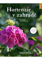 Hortenzie v zahrad�
