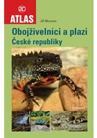 Oboj�iveln�ci a plazi �R ACADEMIA