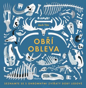 Ob�� obleva