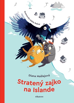 Straten� zajko na Islande