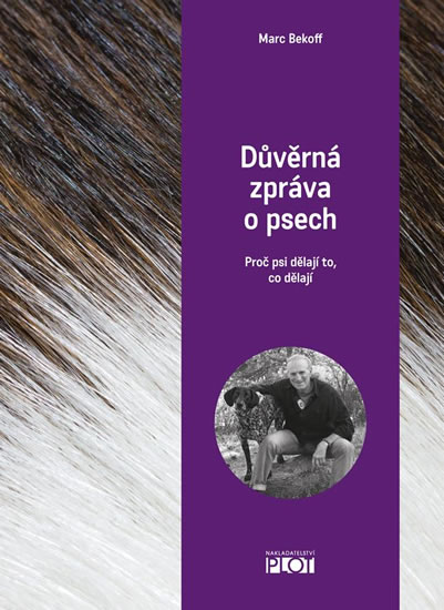 D�v�rn� zpr�va o psech