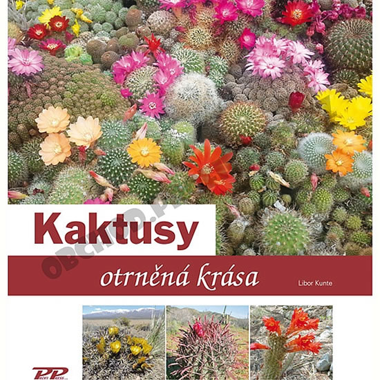 Kaktusy - Otrn�n� kr�sa