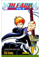 Bleach 1