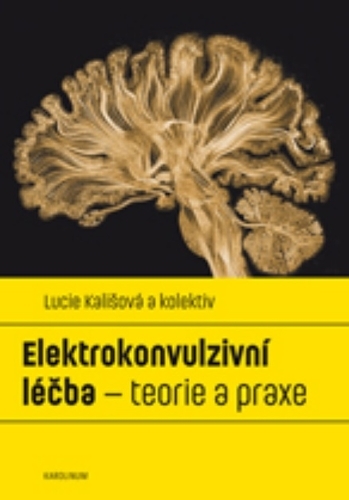 Elektrokonvulzivn� l��ba � teorie a praxe