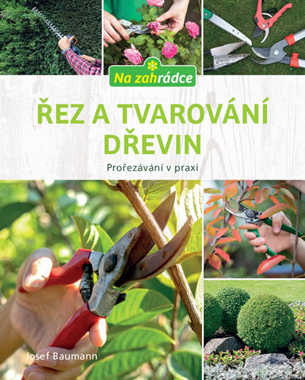 �ez a tvarov�n� d�evin
